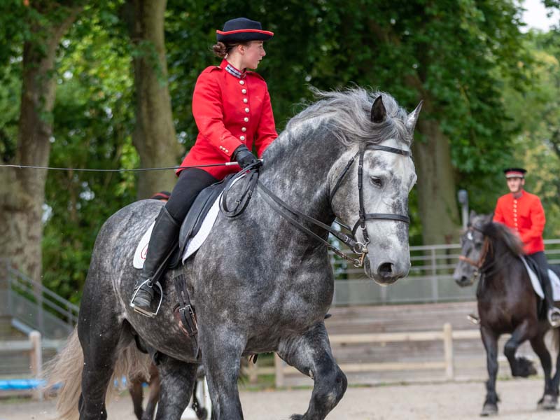 ©David Commenchal Les Jeudis du Pin - Haras national du Pin