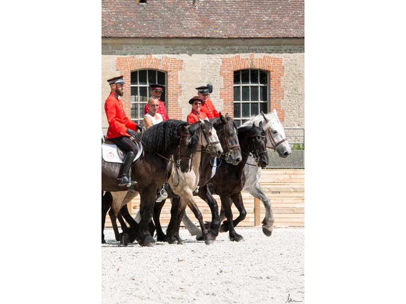 ©Mélanie Guillamot Les Jeudis du Pin - Haras national du Pin