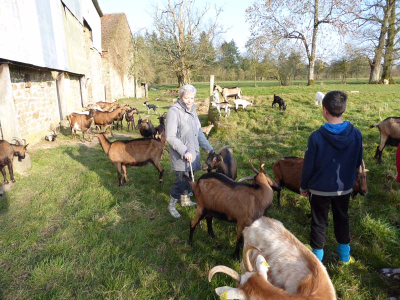 ©Kerflaveur Kerflaveur - La Fresnaye au Sauvage