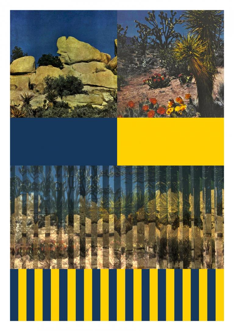 Ludovic Sauvage - Bains-Douches - Alençon ©Ludovic Sauvage,Deux déserts, 2018 Ludovic Sauvage - Bains-Douches - Alençon