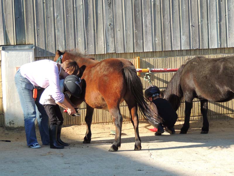 ©Orne Tourisme Poney-Club La Pèleras - La Ferté Macé