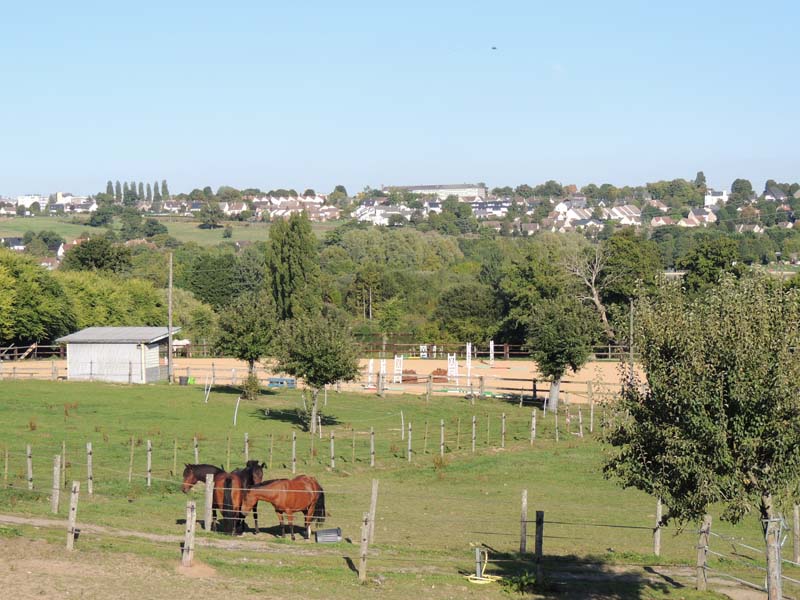 ©Orne Tourisme Poney-Club La Pèleras - La Ferté Macé