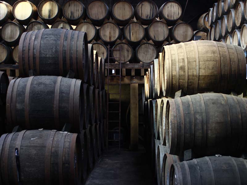 ©JE Rubio Calvados Comte Louis de Lauriston - Domfront