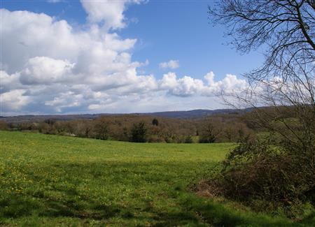 Paysage Suisse Normande