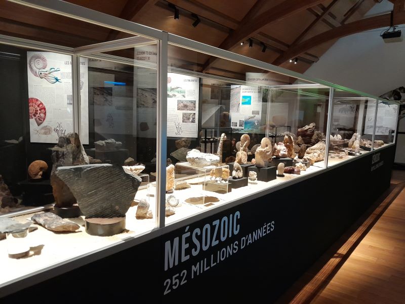 Exposition "Le monde fascinant des fossiles"