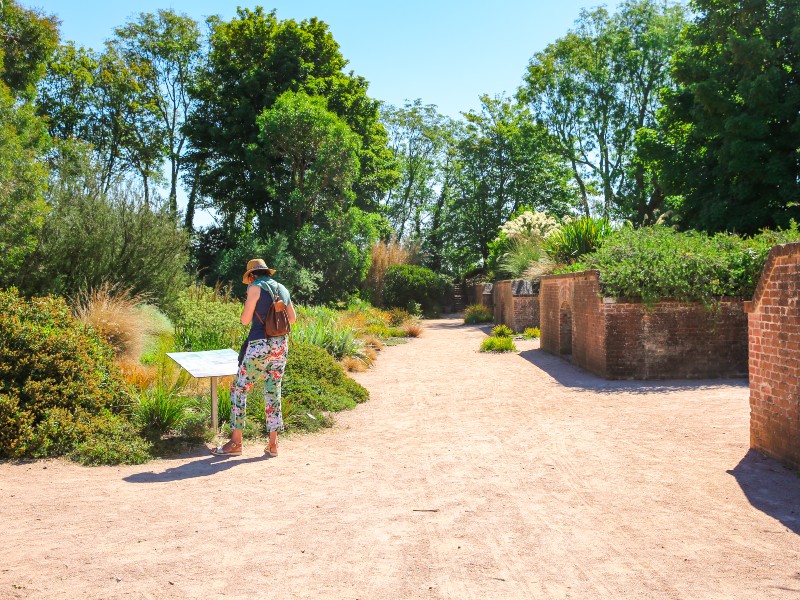 les_jardins_suspendus-sma-mathilde_harel-800x600 (10)