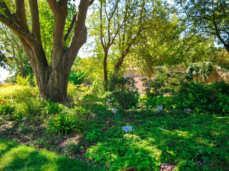 les_jardins_suspendus-sma-mathilde_harel-800x600 (12)