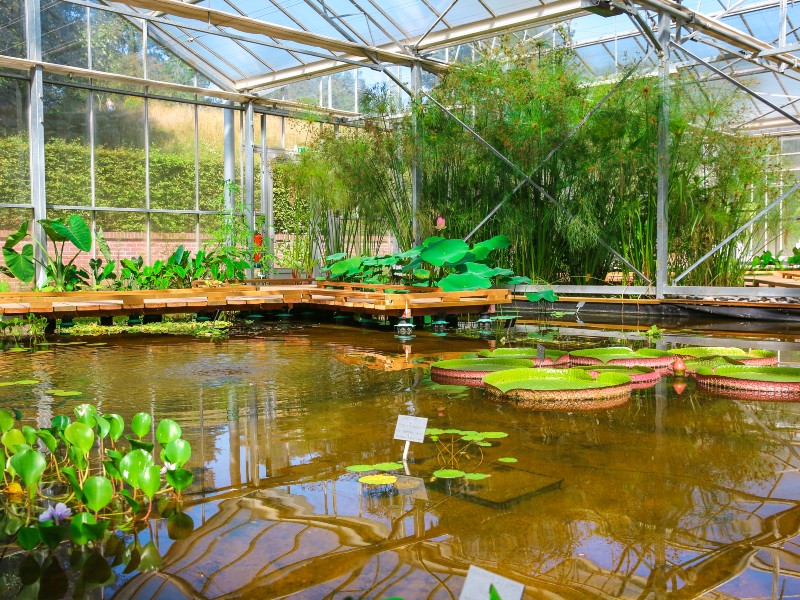 Serres des Jardins Suspendus