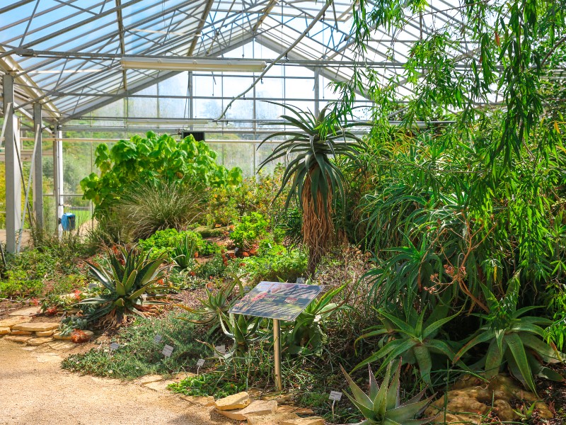Serres des Jardins Suspendus