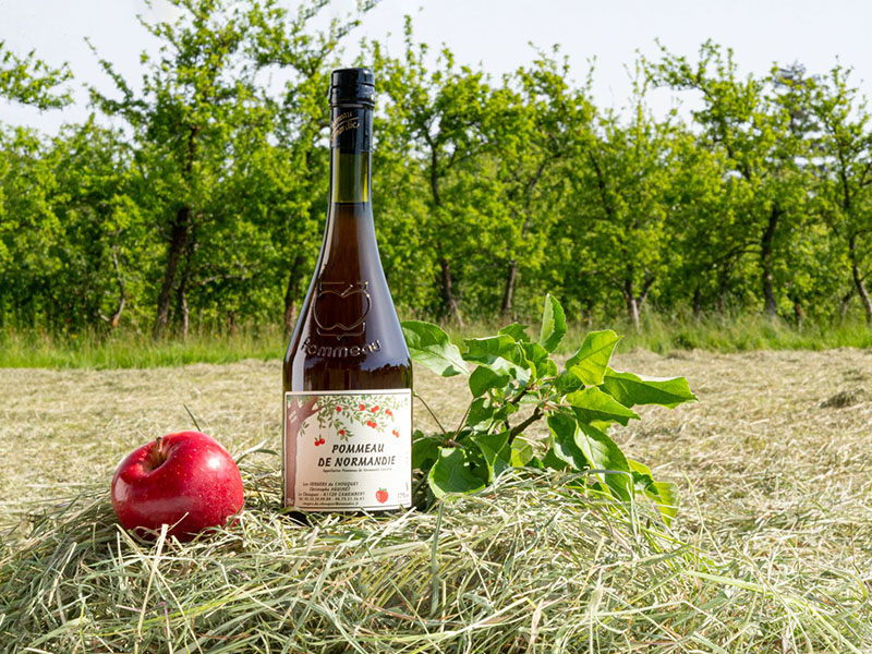 © M. Loocke Les Vergers du Chouquet - Roiville