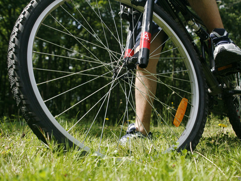© lilufoto-Fotolia.com Location de vélos