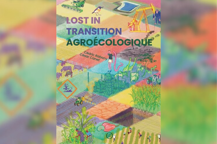 lost in transition