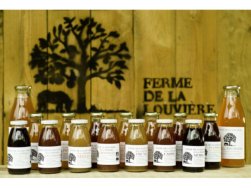 Niger Pert louviEre-jus fruits©Nigel Pert