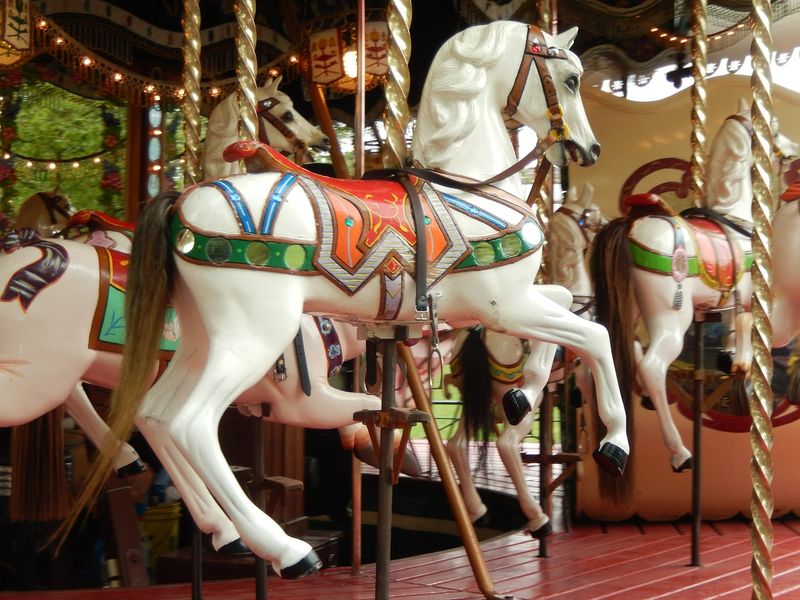 manege800 manege800