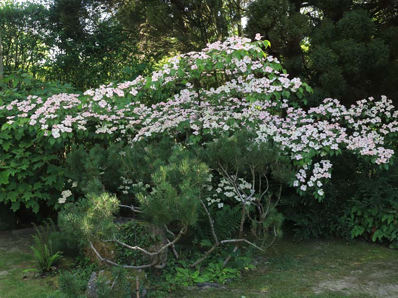©JE Rubio Jardins de la Mansonière - Saint Céneri le Gérei