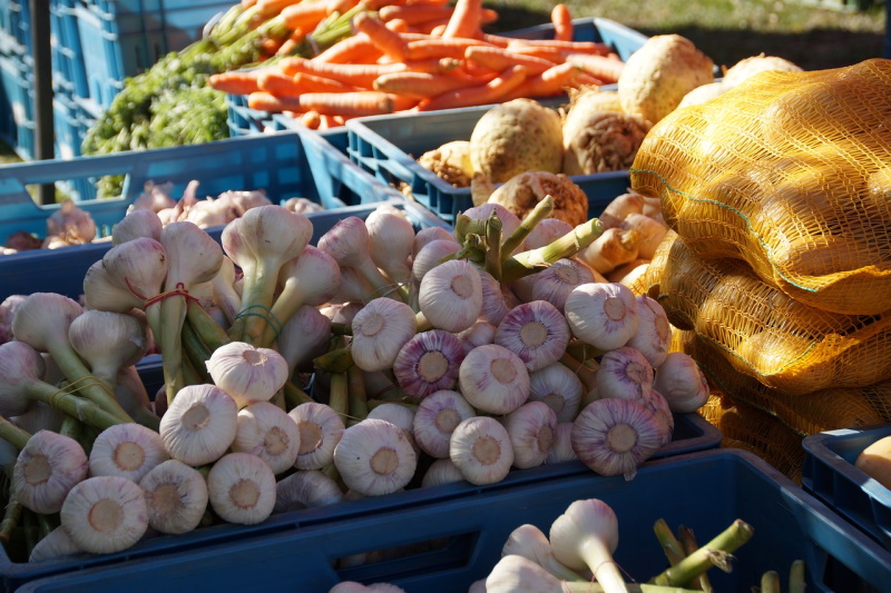 marché Ivabalk marché