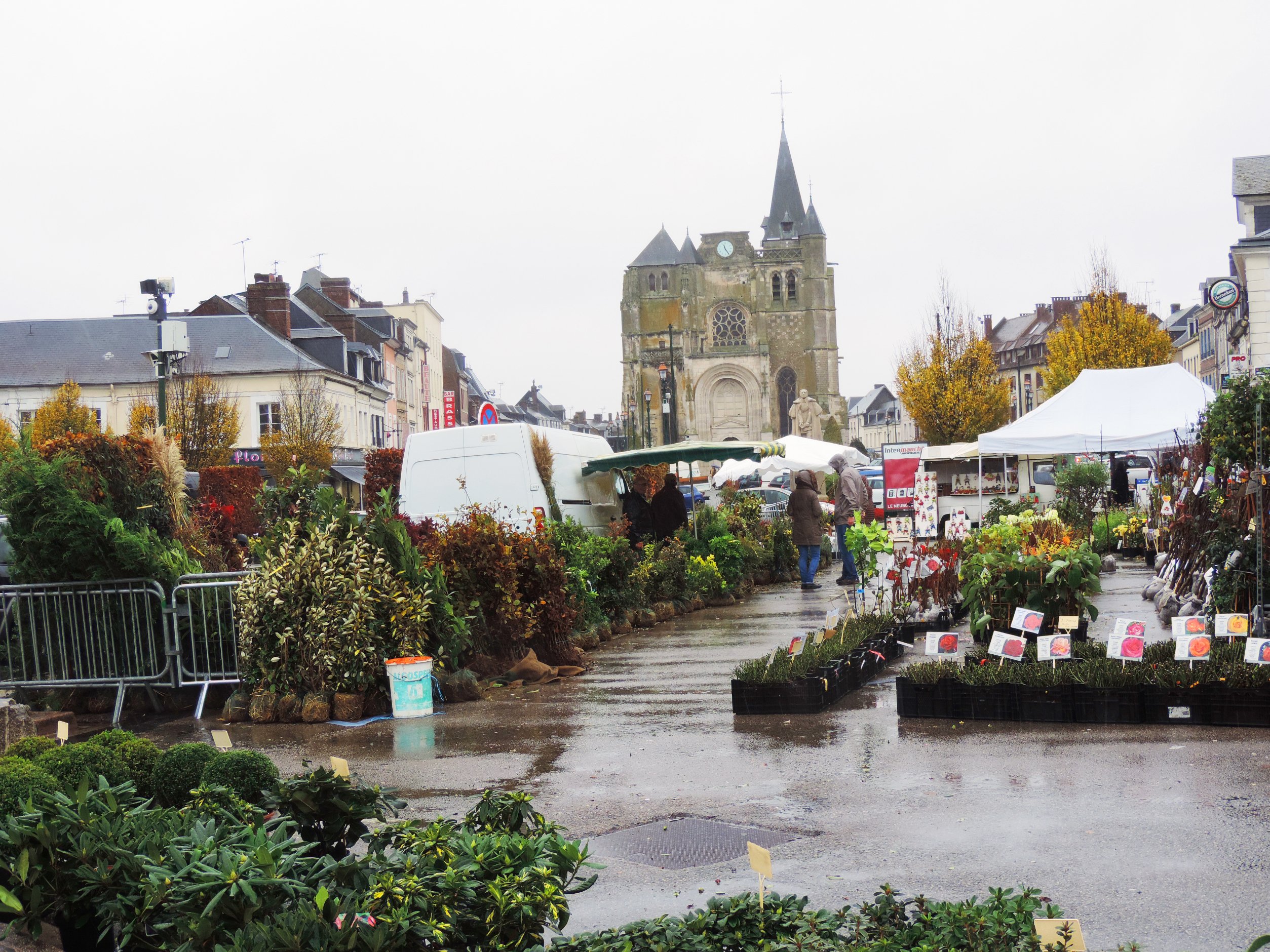 marché aux arbres ot mortagne marché aux arbres