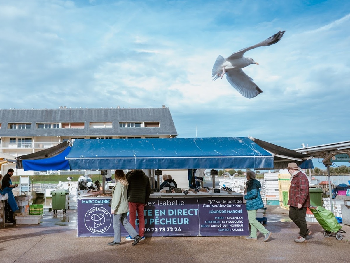 Marché aux poissons - Courseulles-Sur-Mer, Courseulles-sur-Mer - photo 6