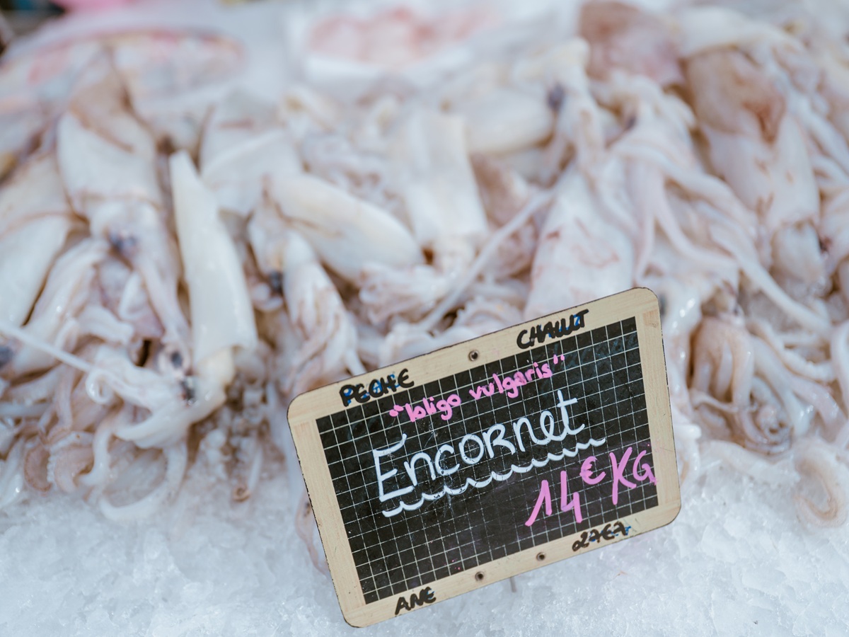 Marché aux poissons - Courseulles-Sur-Mer, Courseulles-sur-Mer - photo 8