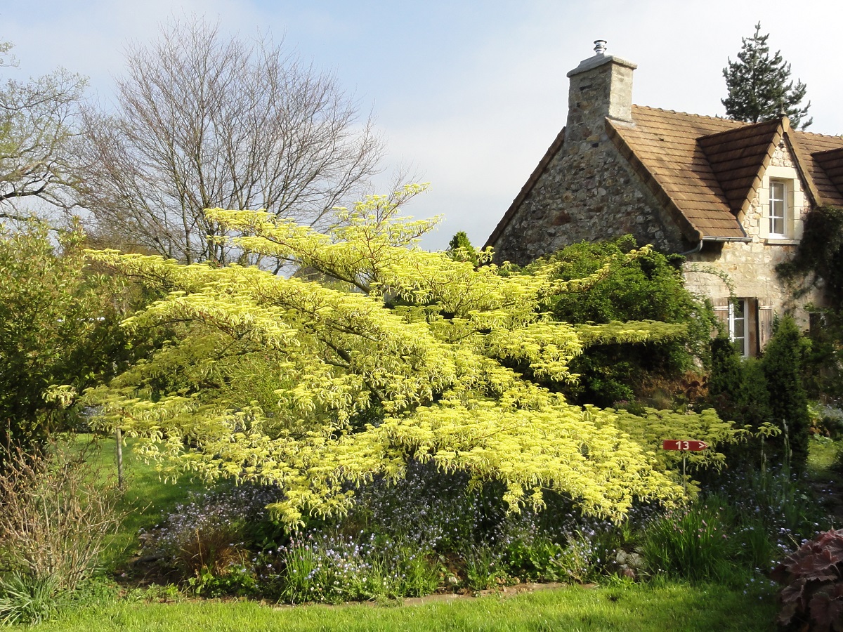 Jardin La Ferme des Roches