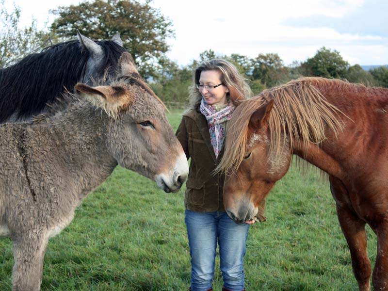 ©L. Fabre Médiation équine - Montmerrei