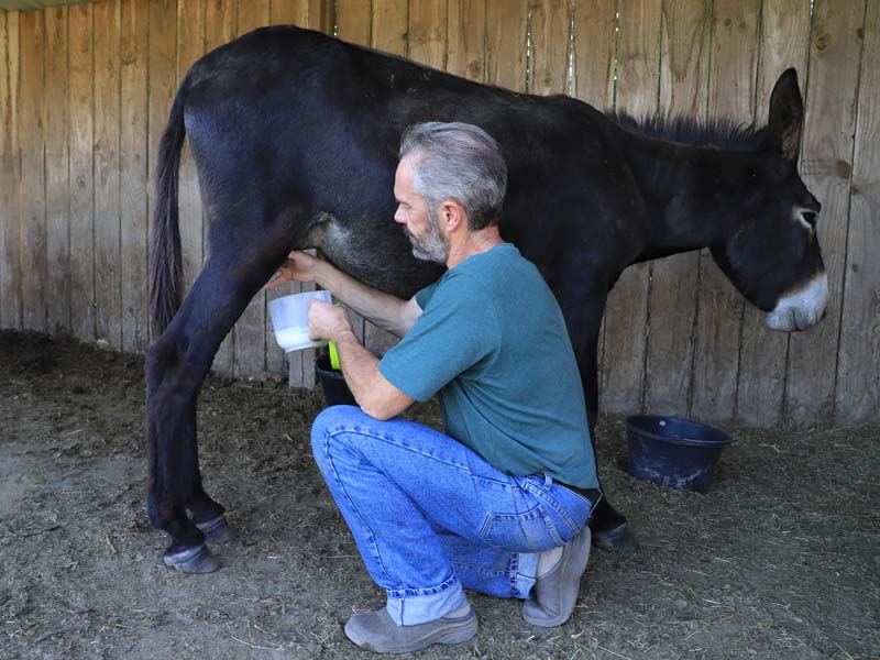 ©J.E. Rubio - CD61 Mélisâne - Le Bouillon