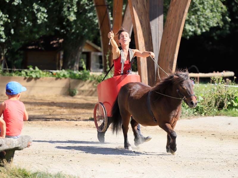 ©JE Rubio Ferme du cheval de trait - Juvigny sous Andaines