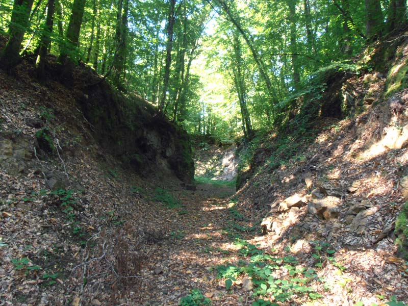 Minière de La Ferrière aux Etangs ©Le Savoir et le Fer Minière de La Ferrière aux Etangs