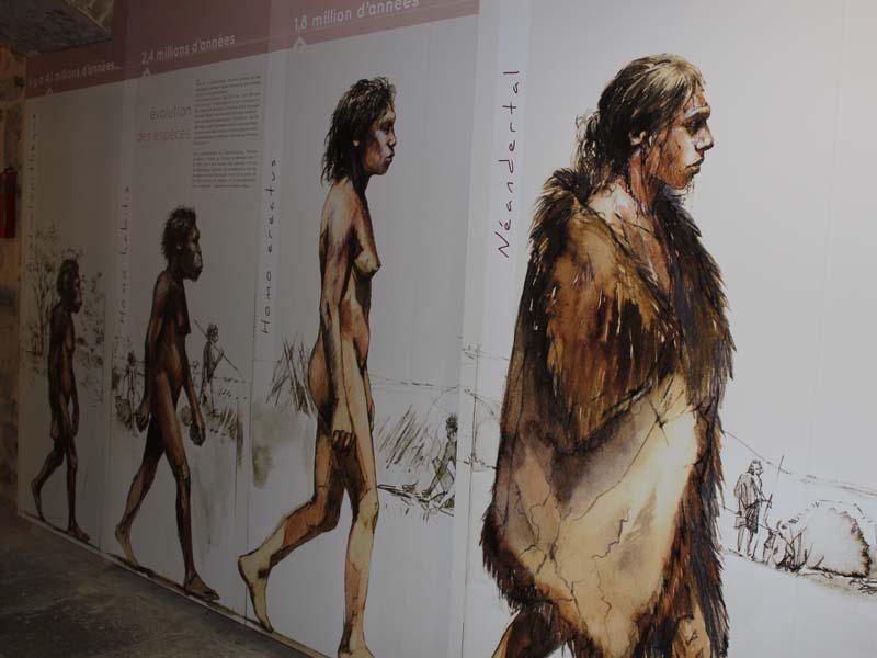 ©Benoît Clarys Musée de la préhistoire - Rânes