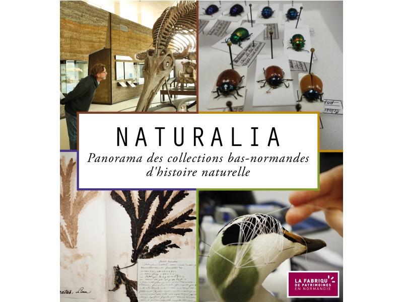 nATURALIA CRT nATURALIA CRT