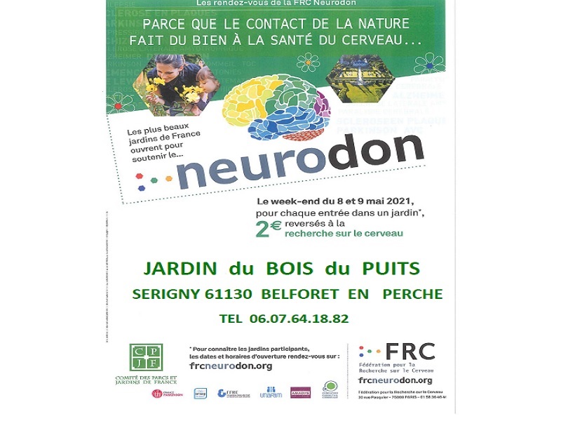 neurodon-800ans titre ©Boisdupuits neurodon-800ans titre