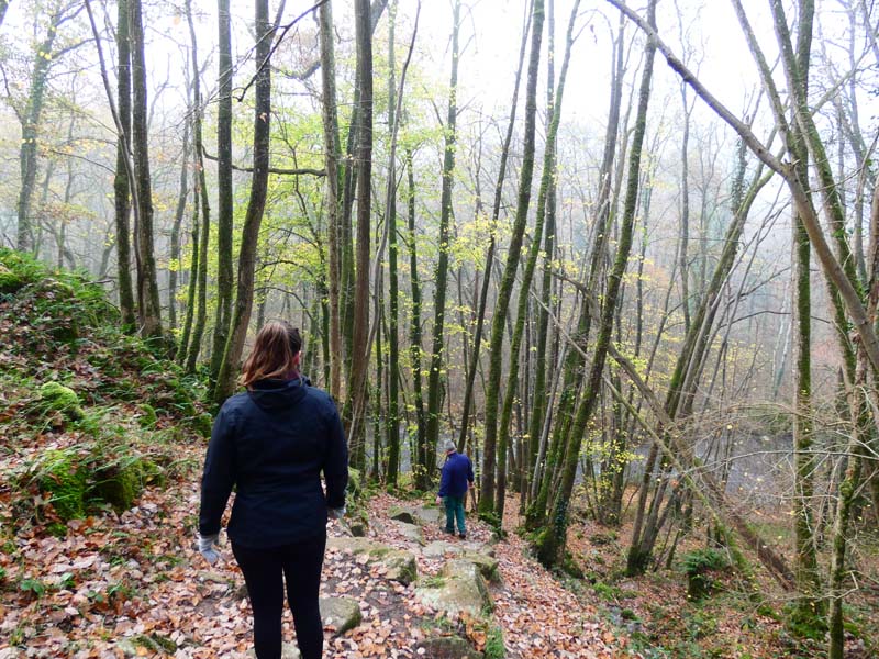 ©Site de la Roche d'Oëtre Gorges de la Rouvre - St Philbert sur Orne
