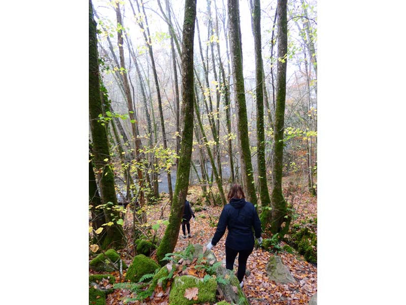 ©Site de la Roche d'Oëtre Gorges de la Rouvre - St Philbert sur Orne