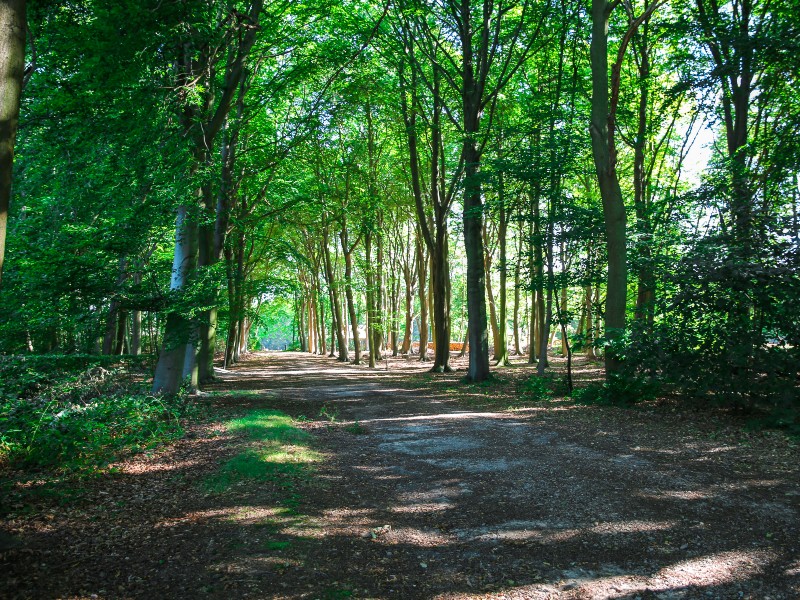 Parc du Château d'Orcher - 2020