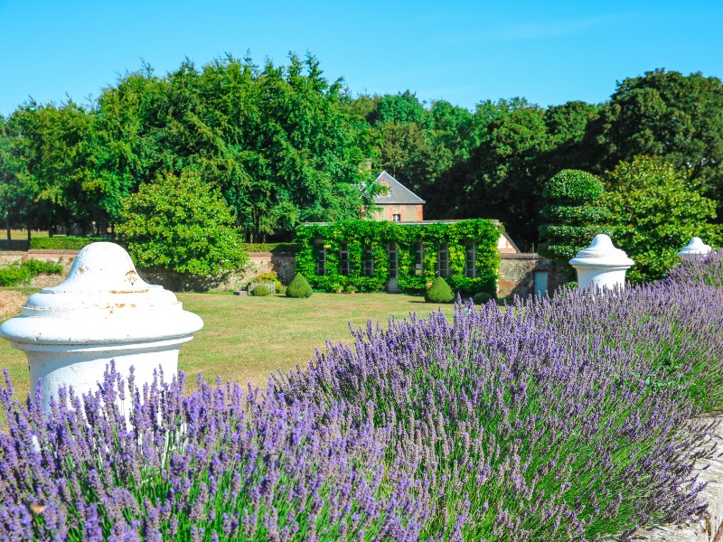 Parc du Château d'Orcher - 2020