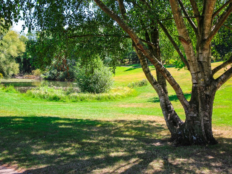parc_de_rouelles-sma-mathilde_harel-800x600 (2)