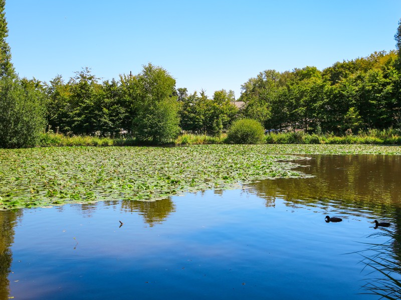 parc_de_rouelles-sma-mathilde_harel-800x600 (3)