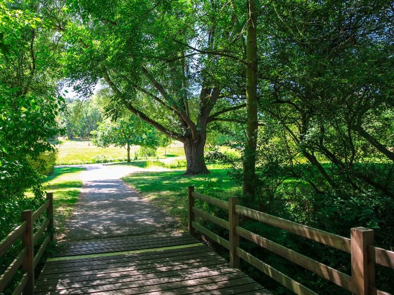 parc_de_rouelles-sma-mathilde_harel-800x600 (4)