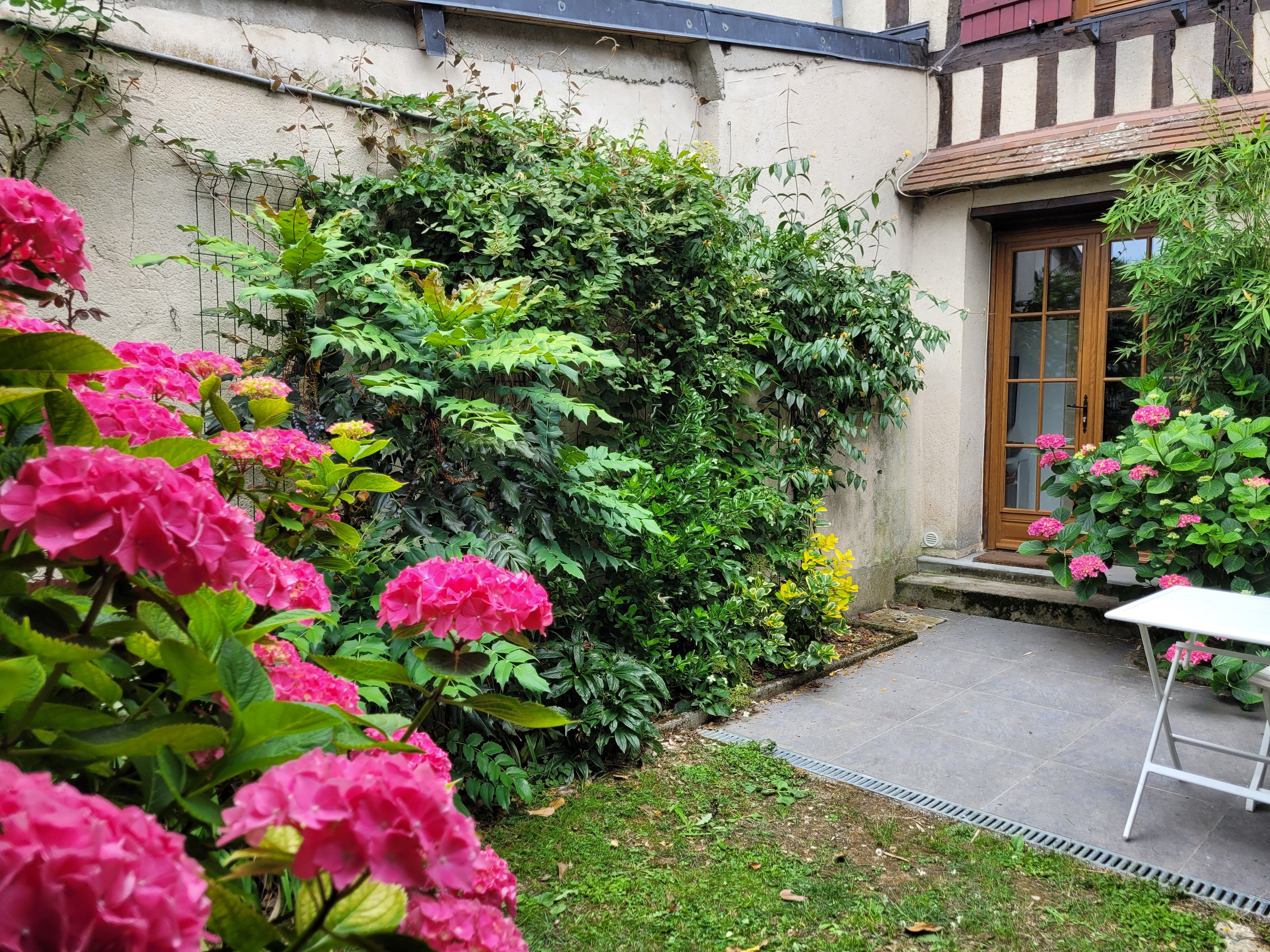 patio