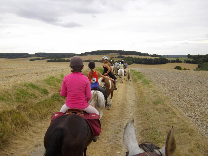 ©Perch'Horizon Perch'Horizon - Moutiers au Perche