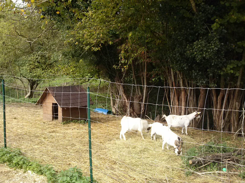 ©Orne Tourisme Les Petits Cavaliers - La Chapelle Montligeon