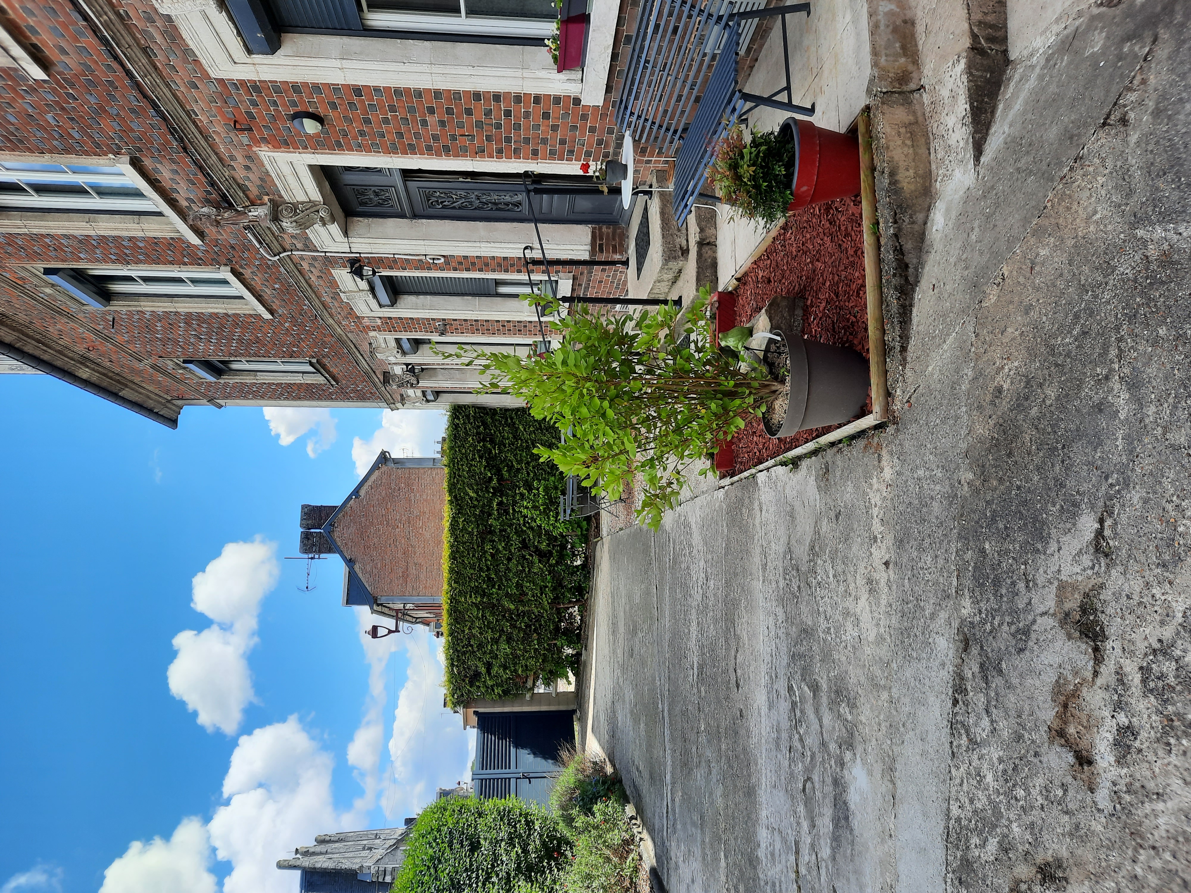 photo1
