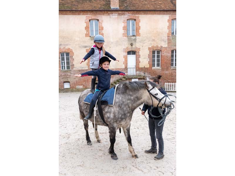 ©David Commenchal Les P'tits Pin - Haras national du Pin