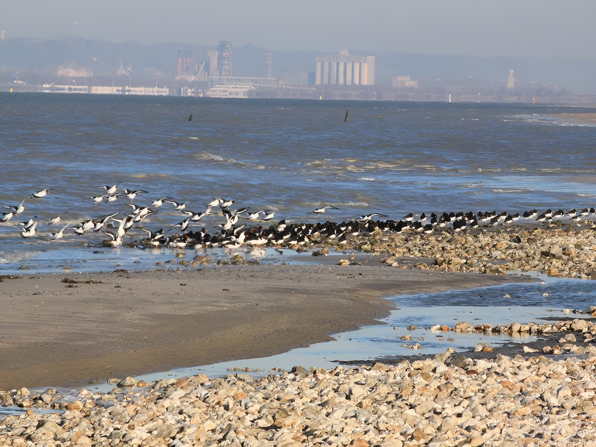 Plage de Pennedepie