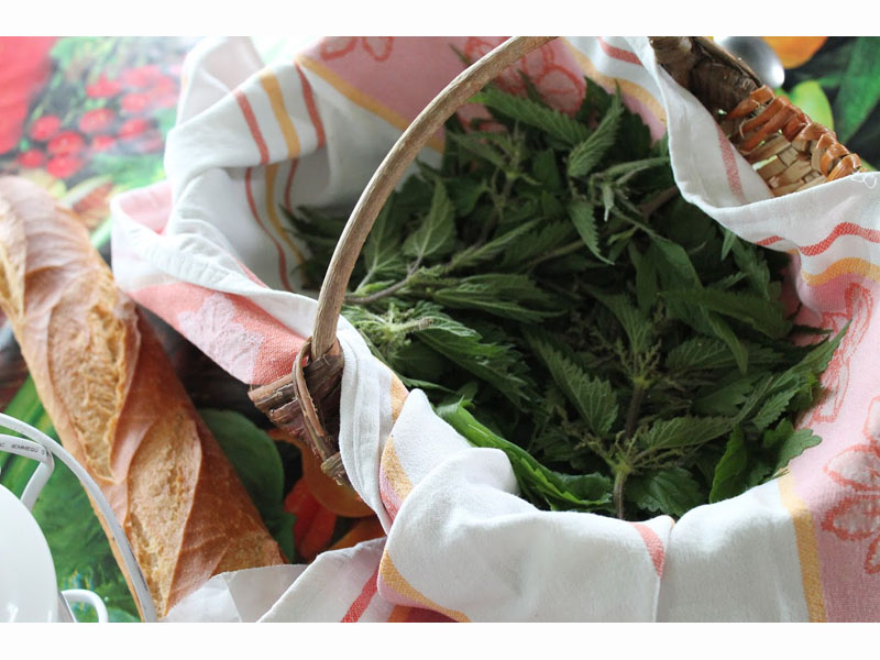 plantes-comestibles-cpie800 © CPIE des Collines Normandes plantes-comestibles-cpie800