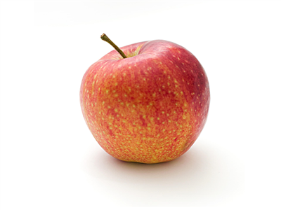 otargentan pomme tourinsoft