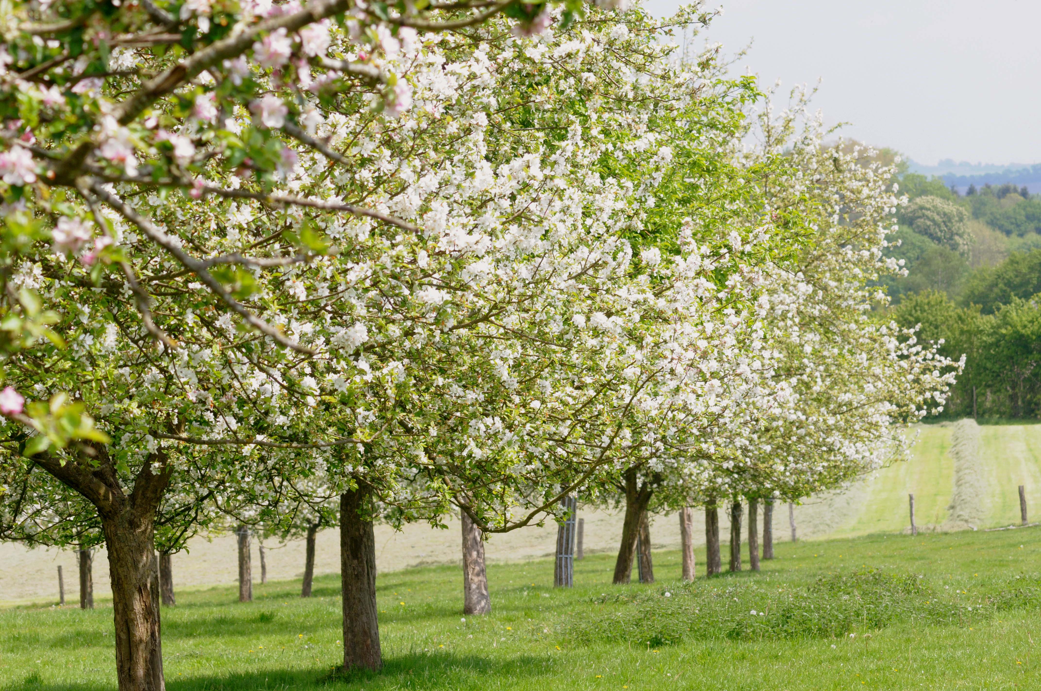 Domaine de Merval - photo 3