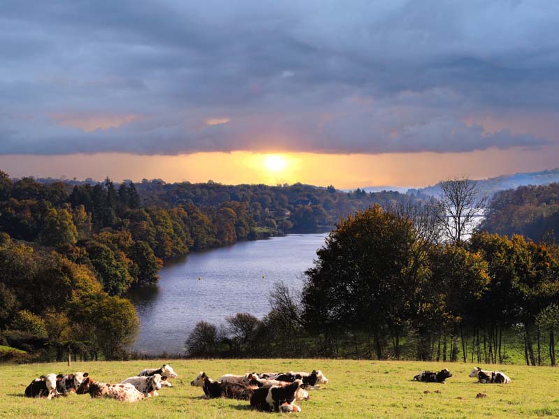 ©J.E. Rubio Lac de Rabodanges