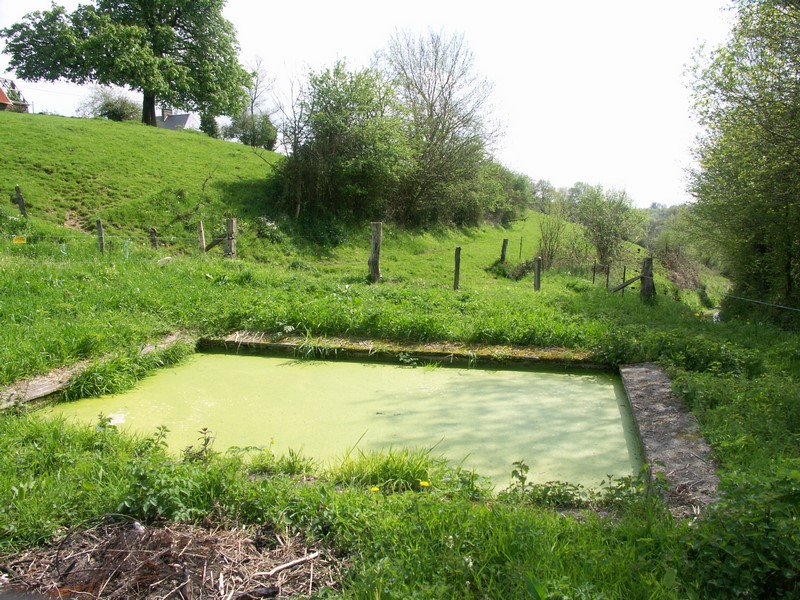 Le circuit des lavoirs