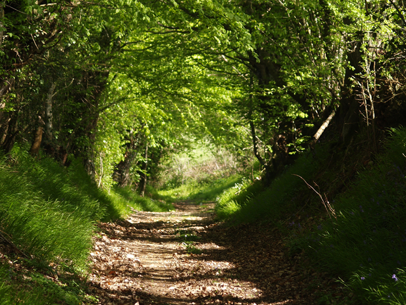 Randonnée en Val d'Huisne © CDC du Val d'Huisne Randonnée en Val d'Huisne